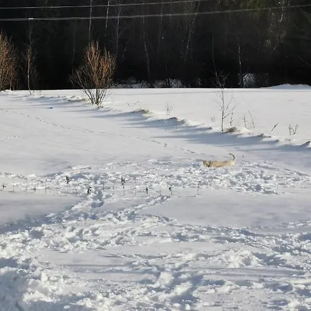 Lodge Umilajka